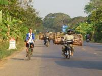 Les Petits Cochons, Cambodge